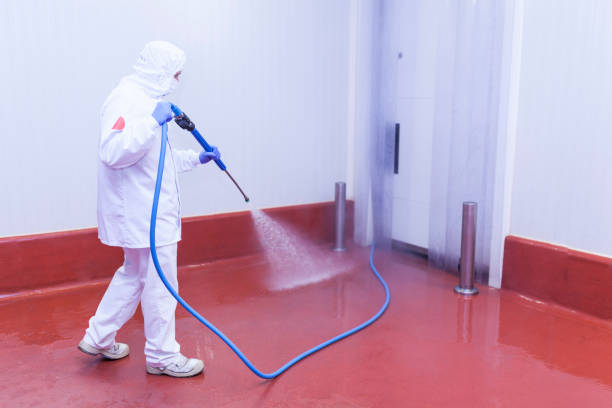 Reliable Ives Estates, FL Pressure Washing Services Solutions